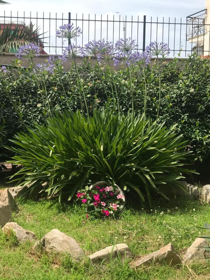 Lovely Little Apartment In Via Aurelia 罗马 外观 照片